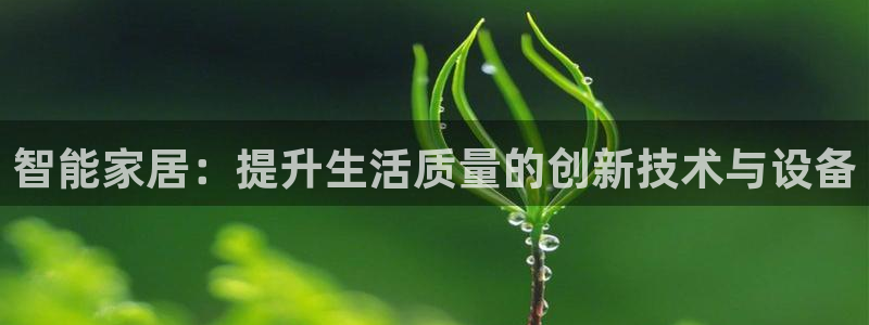 龙八国际娱乐手机登录