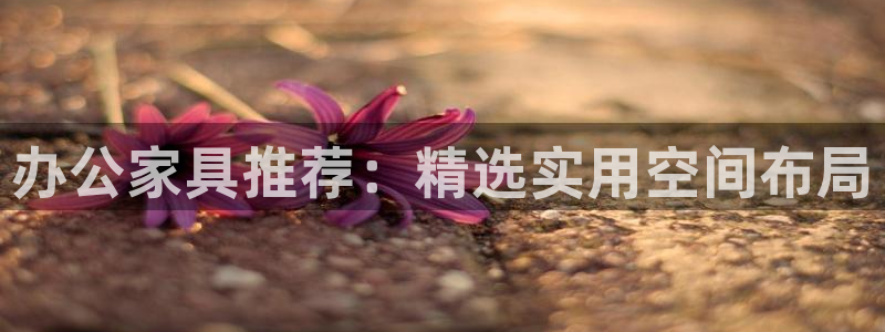 龙八国际手机版下载注册