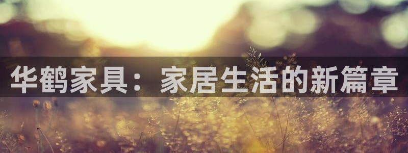 龙八国际手机登录入口