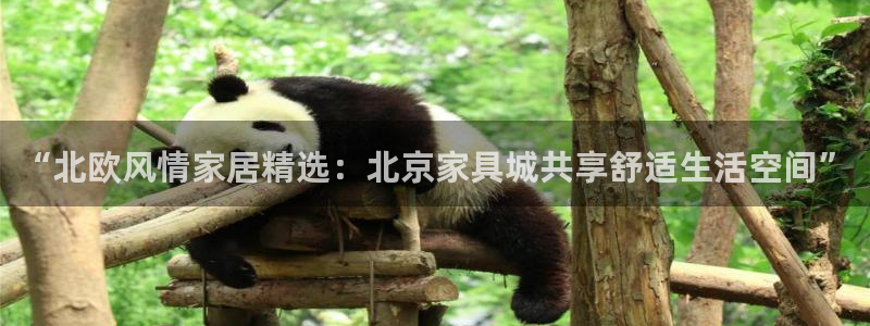 龙八国际娱乐登录