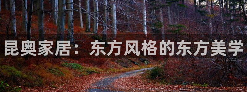 龙八国际手机登录