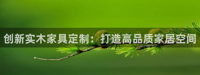 龙八国际网b48点tv