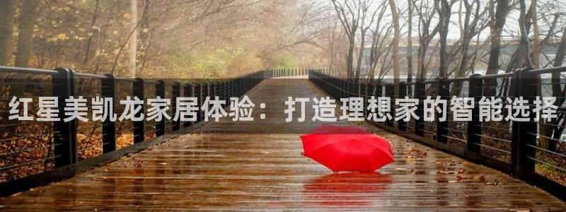 龙八国际有限责任公司