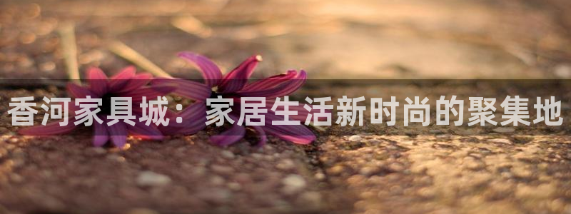 龙八国际登录网站