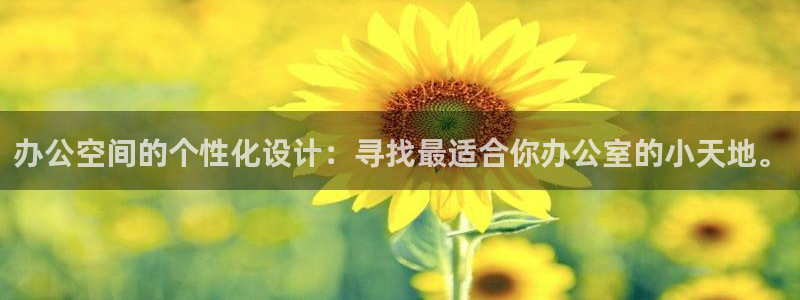 龙八国际网站登录