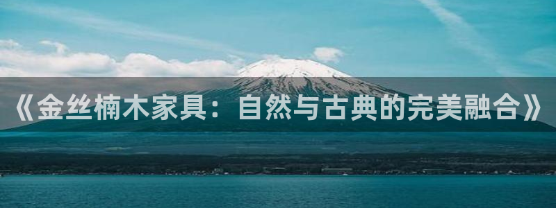 龙八国际网易云音乐