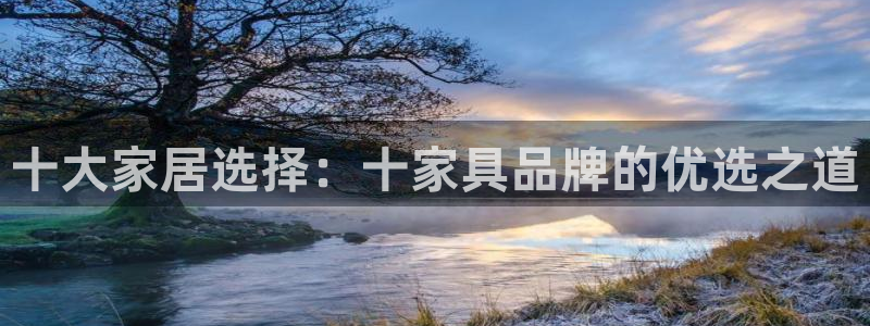 龙八国际下载安装彩