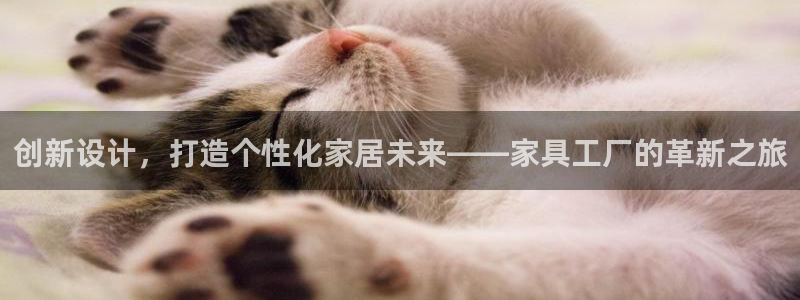 龙八国际网店客服电话