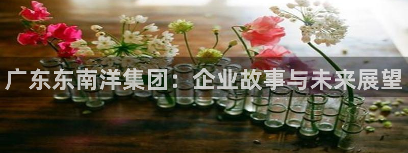 龙八国际下载链接官网