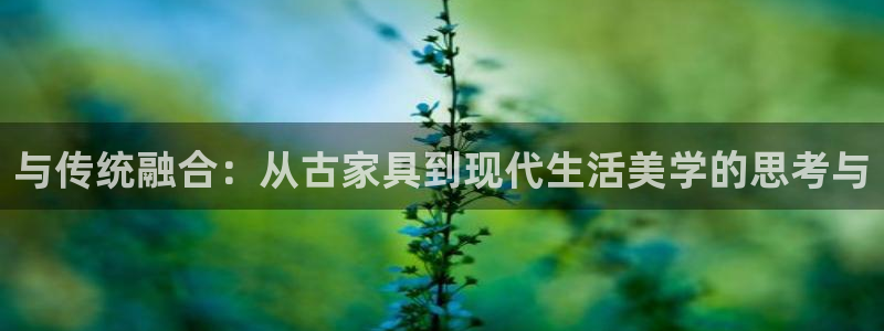 龙八国际集团有限公司