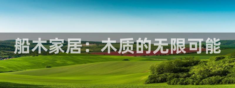 龙八国际服官网站