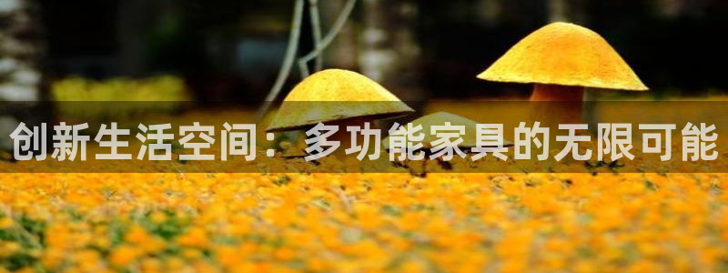 龙八国际免费下载