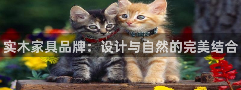 龙八国际官方下载