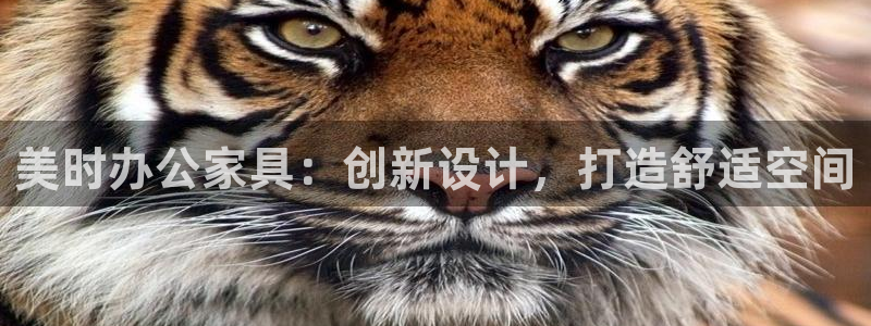 龙八国际官方网