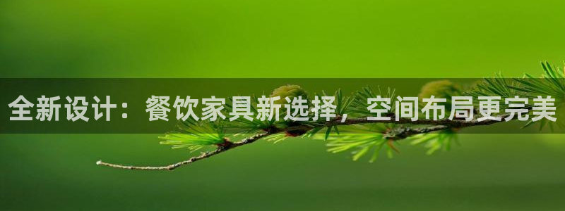 龙八国际娱乐官网app