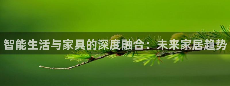 龙八国际娱乐在线游戏