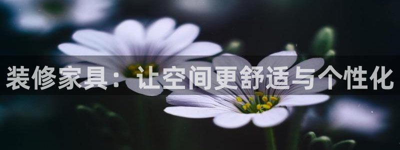 龙八国际娱乐群