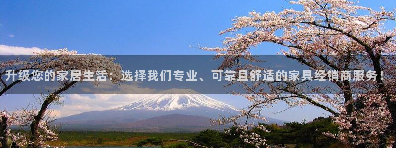 龙八国际可以京东充值吗