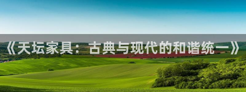 龙八国际官方手游