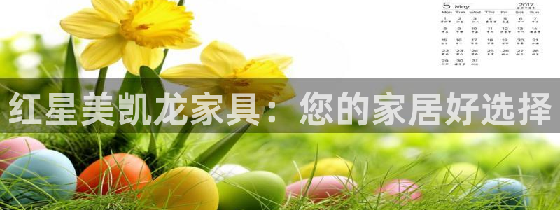 菲律宾龙八国际