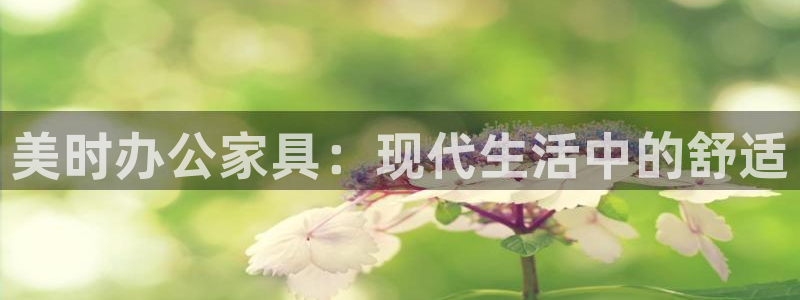 项目名称龙八国际