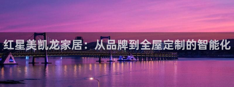 龙八国际手机版官方版app下载