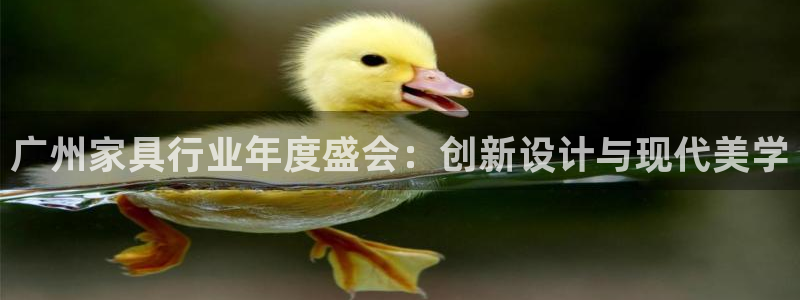 龙八国际网页long8868