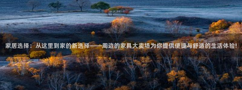 龙八国际电脑版下载