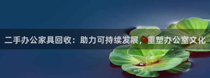 龙八国际娱乐官网首页