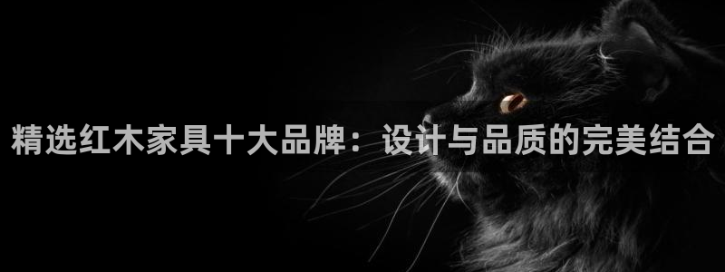 龙八国际官网入口