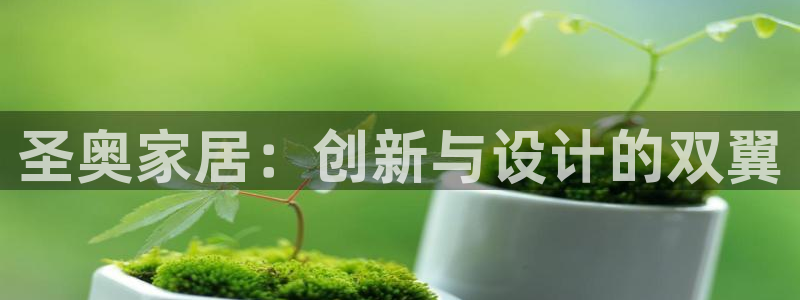 龙八国际手机端