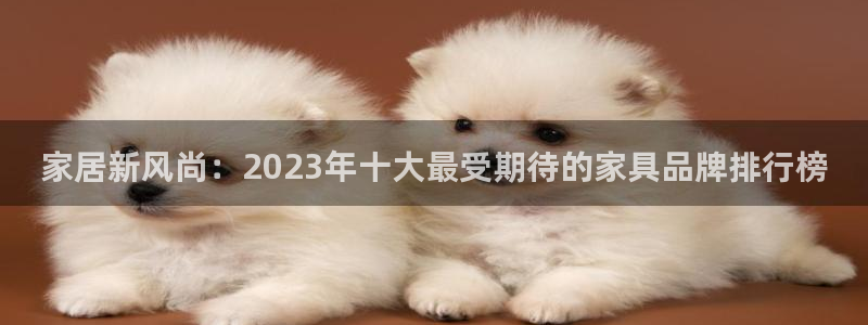 龙八国际游戏登录