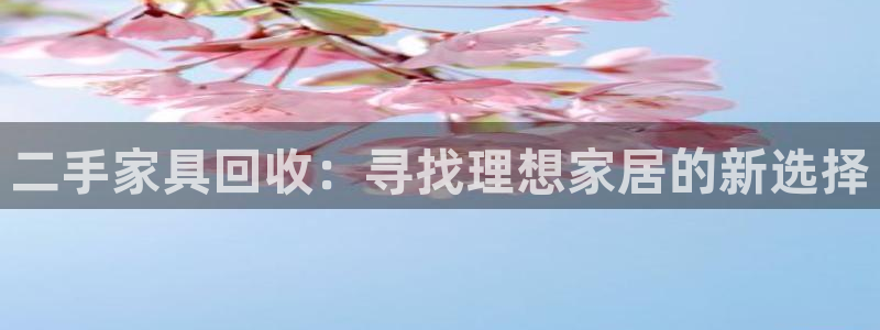 龙八国际官网网站