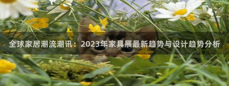 龙八国际app手机版下载苹果