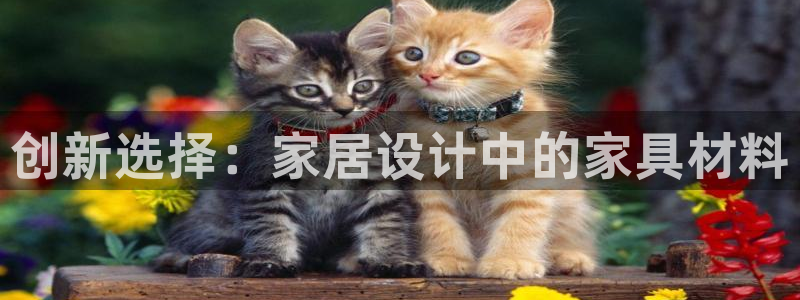 龙八国际手机版登录