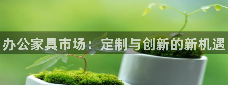 龙八国际有没有假