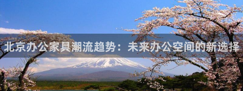 龙八国际app手机端