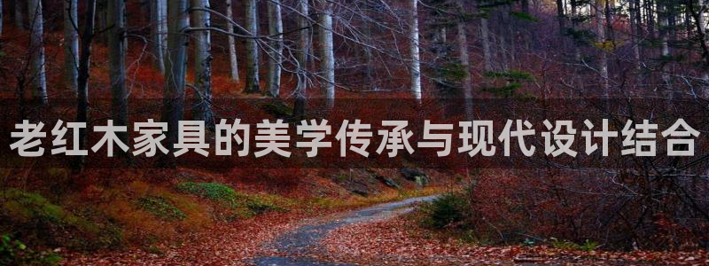 龙八国际电子游戏