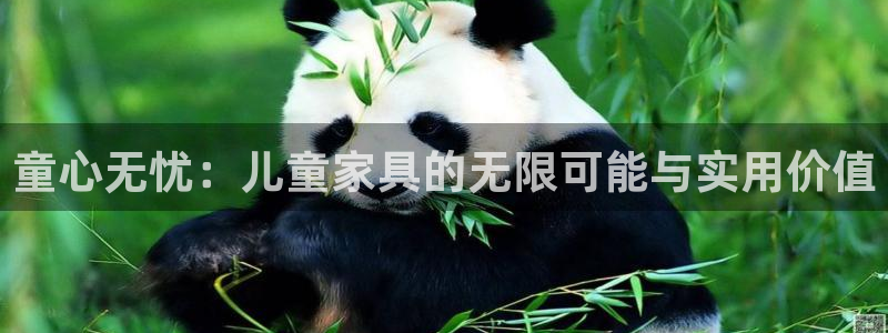 龙八国际服官网进入