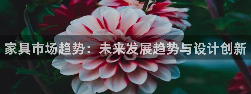 龙八国际网站全网