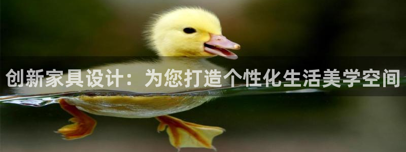 龙八国际视频网站