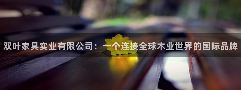 不会玩龙八国际：双叶家具实业有限公司：一个连接全球木业世界的