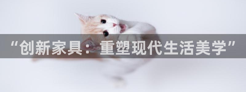 龙八国际手机端