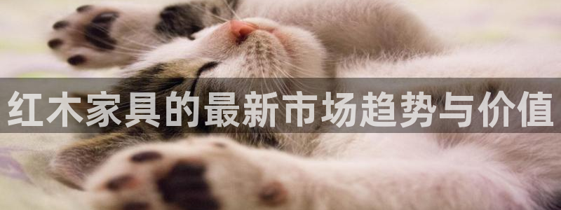 龙八国际mg老虎机