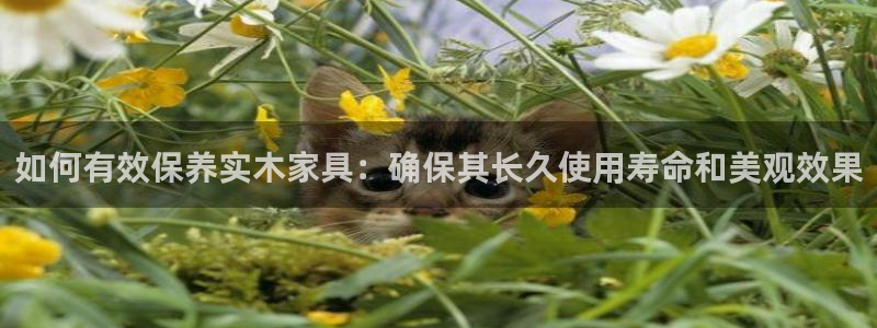 龙八国际官方网站pt