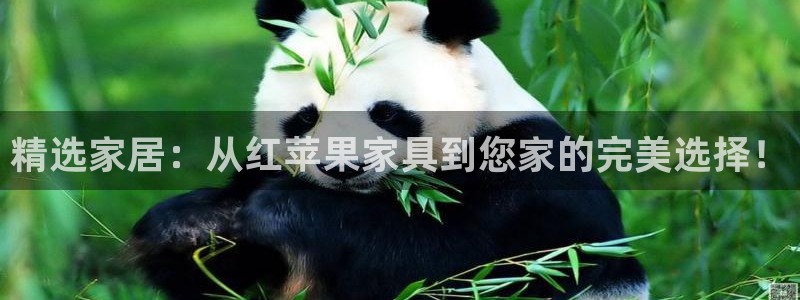 龙八国际是个什么游戏机