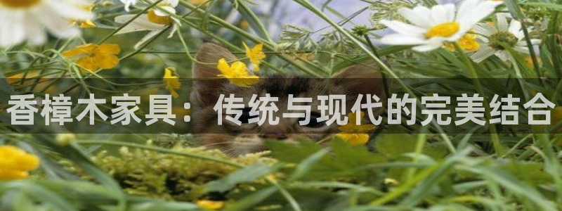 龙八国际娱乐在线